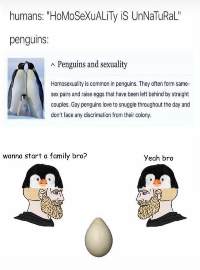 Humans Homosexuality Is Unnatural Penguins Penguins And Sexuality Homosexuality Is Common In 