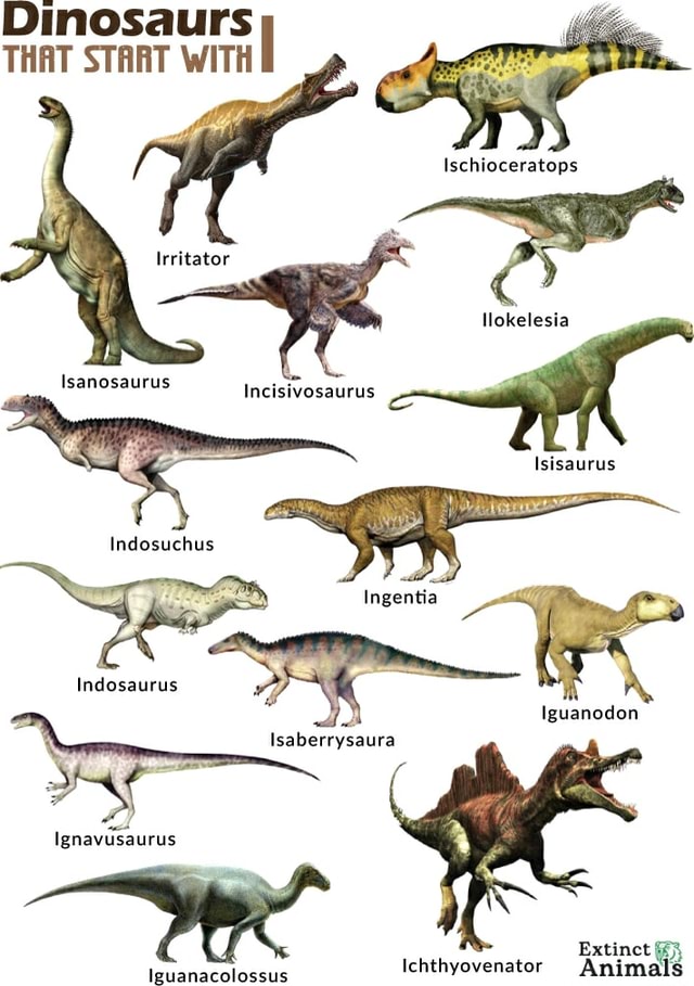 Dinosaurs THAT START WITH Isanosaurus Hi Indosaurus Iguanodon au ...