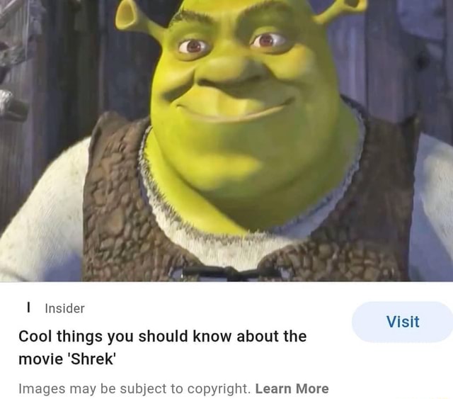 Insider Cool things you should know about the movie Shrek' Visit Images ...