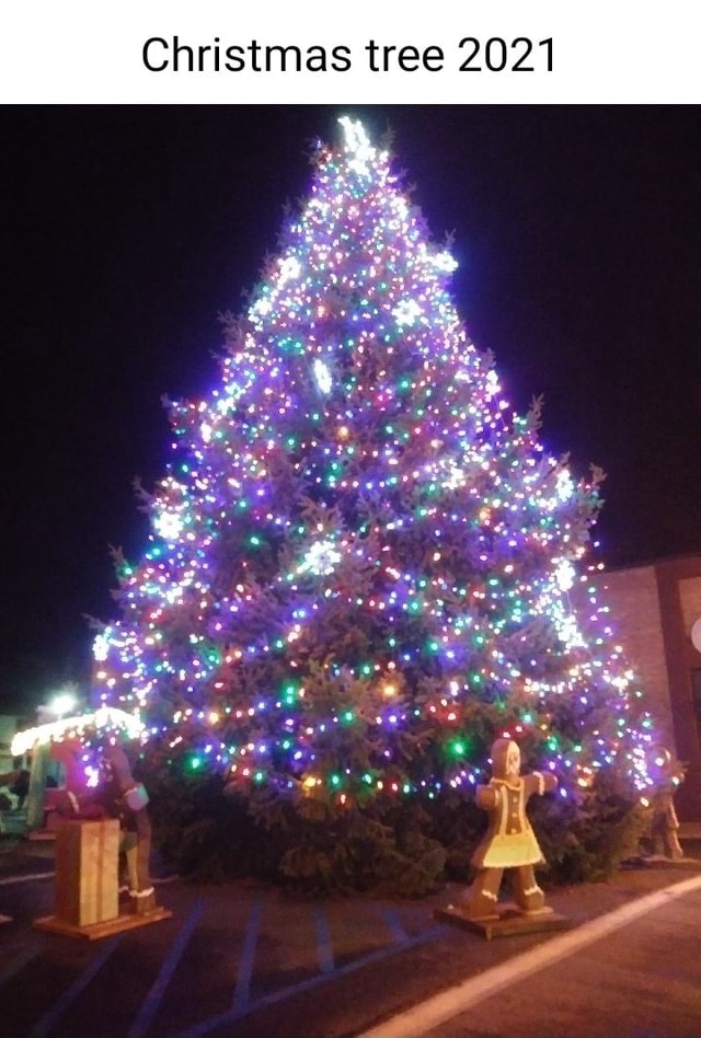 Idyllwild Christmas Tree Lighting 2022 Christmas Tree 2021 - America's Best Pics And Videos