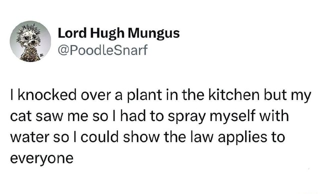 About Me - Planted in the Kitchen