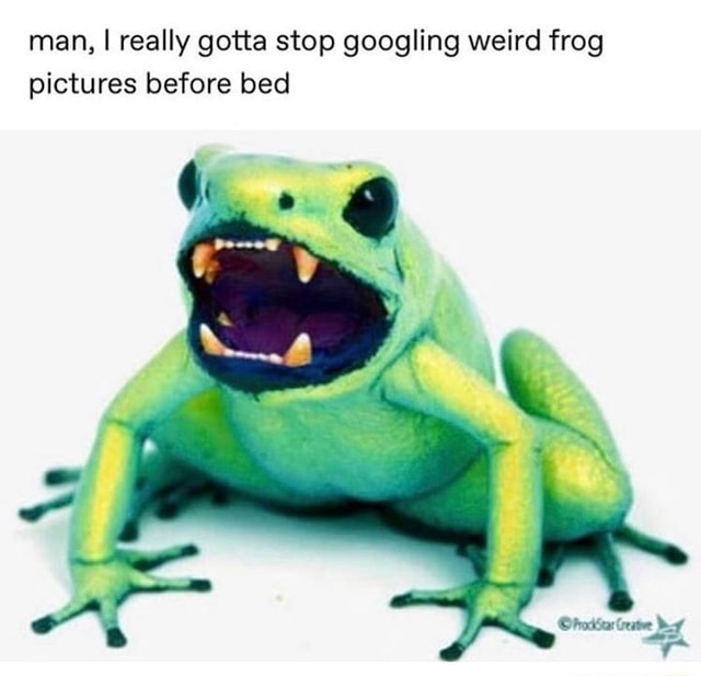 Man, I really gotta stop googling weird frog pictures before bed ...