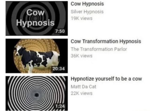 Cow Hypnosis Cow Hypnosis Cow Transformation Hypnosis I Da Hypnotize ...
