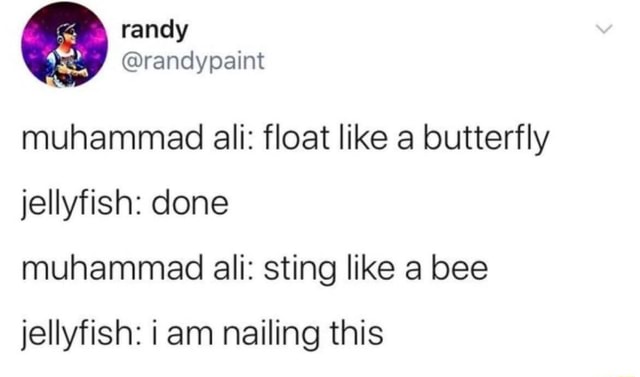 Muhammad Ali Float Like A Butterfly Jellyfish Done Muhammad Ali Sting Like A Bee Jellyfish I Am Nailing This