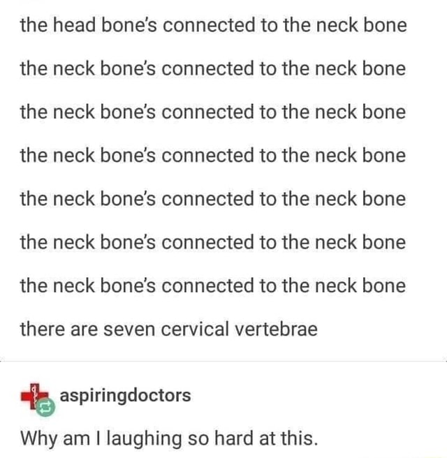 the-head-bone-s-connected-to-the-neck-bone-the-neck-bone-s-connected-to