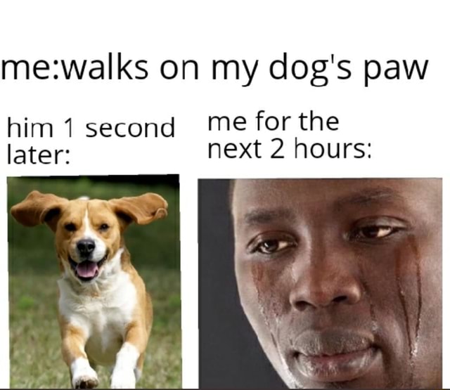 on-my-dog-s-paw-him-second-me-for-the-later-next-2-hours