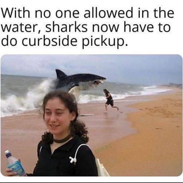 With no one allowed in the water, sharks now have to do curbside pickup ...