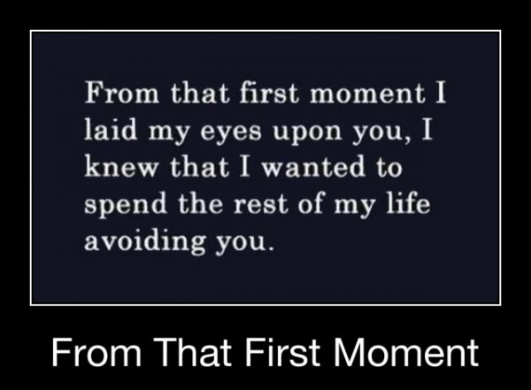 From That First Moment I Laid My Eyes Upon You I Knew That I Wanted To Spend The Rest Of My Life Avoiding You From That First Moment From That First