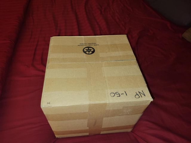The outer box containing the inner box. This is my packaging. Nothing ...