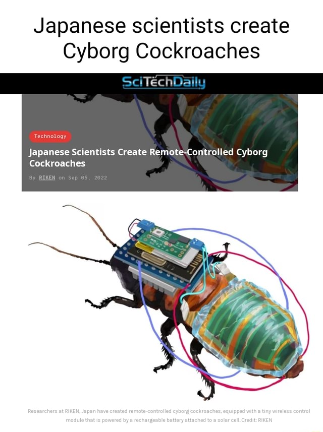 Japanese Scientists Create Cyborg Cockroaches Technoloay Op Japanese ...