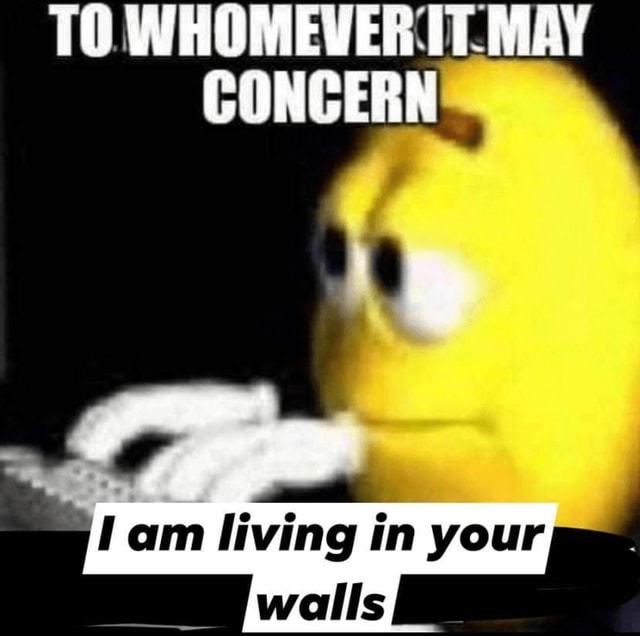 TO WHOMEVER MAY CONCERN am living in your walls iFunny