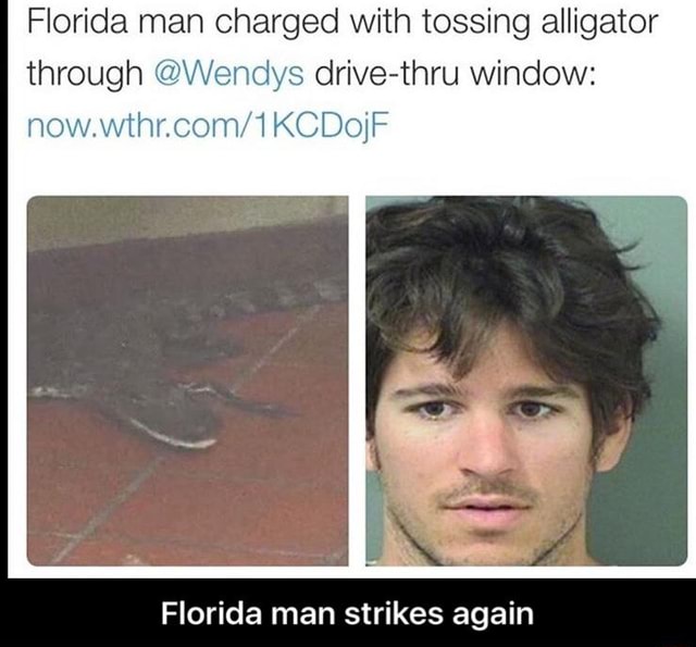 Florida Man Charged With Tossing Alligator Through Wendys Drive Thru Window Nowwthncomﬂ Kcdojf