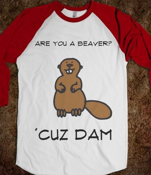 ARE YOu A BEAVER? 'CUZ DAM - )