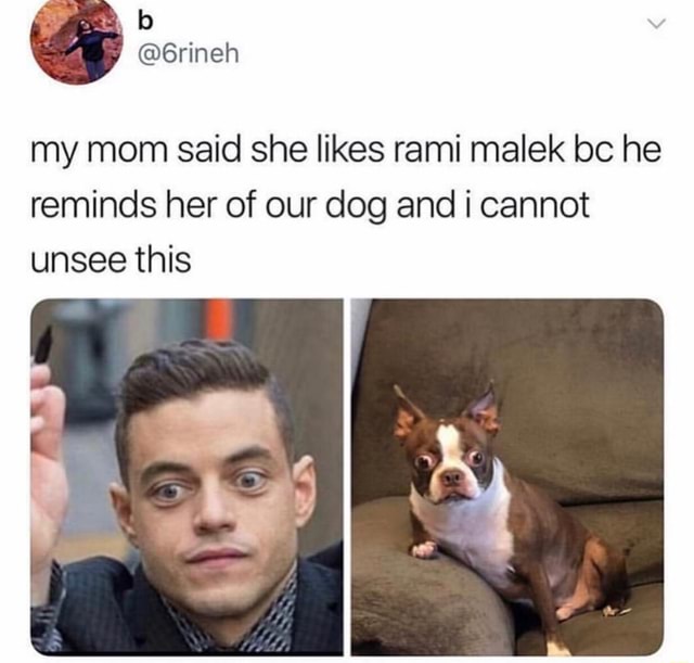 My mom said she likes rami malek bc he reminds her of our dog and i ...