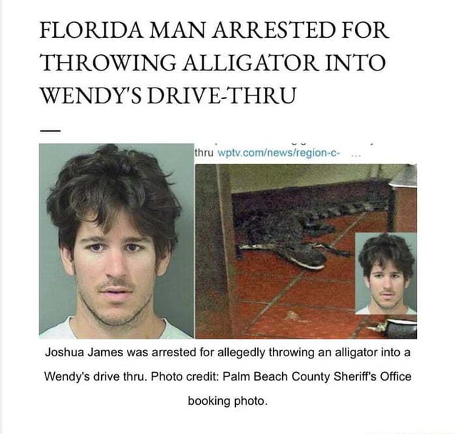 Florida Man Arrested For Throwing Alligator Into Wendy's Drive-thru 