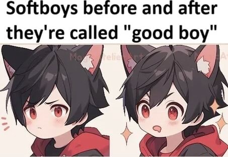 Softboys before and after they're called "good boy" - iFunny
