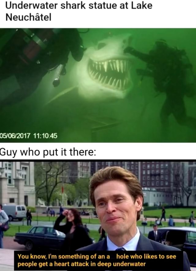 Underwater shark statue at Lake Neuchatel 45 Guy who put it there