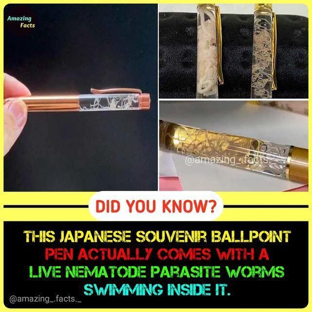 DID YOU THIS JAPANESE SOUVENIR BALLPOINT PEN ACTUAL COMES WIT 4 A LIVE