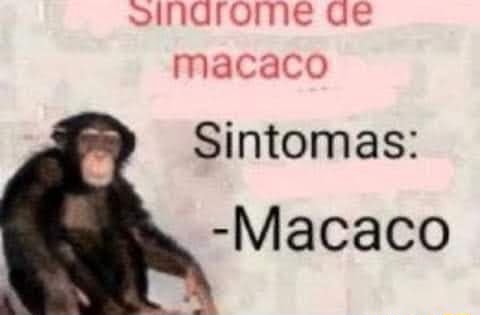 Qe macaco Sintomas: -Macaco - iFunny Brazil