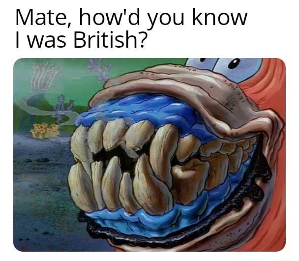 mate-how-d-you-know-i-was-british-ifunny