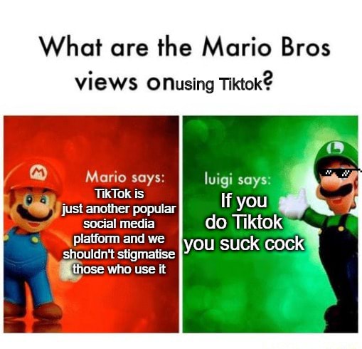 what-are-the-mario-bros-views-onusing-tiktok-mario-says-luigi-says