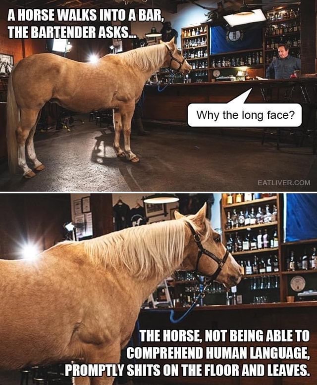 a-horse-walks-into-a-bar-the-bartender-asks-as-why-the-long-face