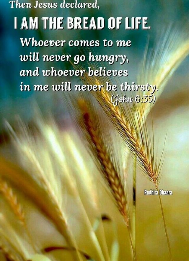 Then Jesus Declared, I Am The Bread Of Life. Whoever Comes To Me Will 