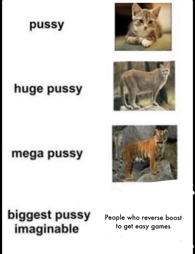 Pussy Huge Pussy Mega Pussy Biggest Pussy People Who Reverse Boost Imaginable To Get Easy Games