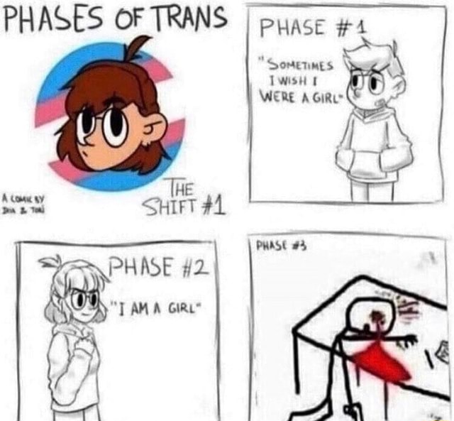 Phases Of Trans Phase Were A Girl Phase #3 Phase - Ifunny