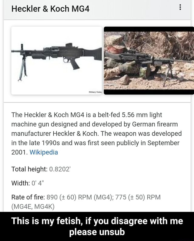 Heckler Koch MG4 The Heckler Koch MG4 is a belt-fed 5.56 mm light ...