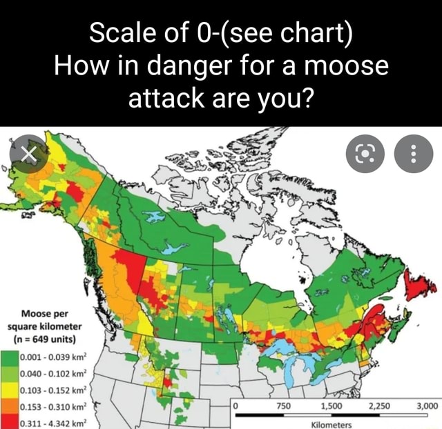 Scale of chart) How in danger for a moose attack are you? Moose per
