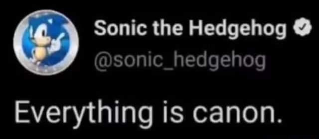 Sonic The Hedgehog @sonic_hedgehog Everything Is Canon. - IFunny