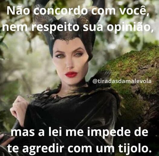 Não concordo com você, nem respeito sua opinião, mas a lei me impede de ...