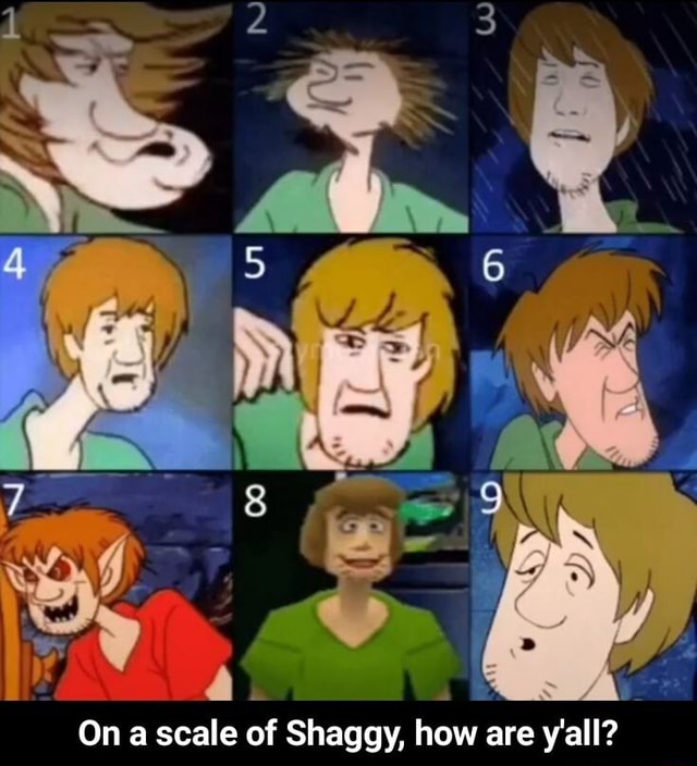 GR On a scale of Shaggy, how are y'all? On a scale of Shaggy, how are