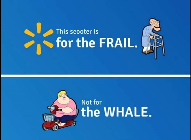 this-scooter-is-7-for-the-frail-not-for-the-whale-ifunny