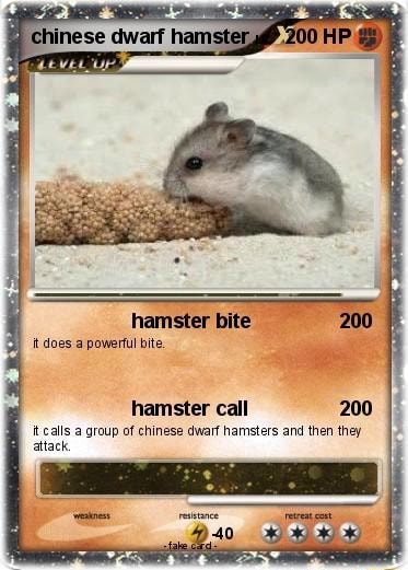 Terinese awartnamste, it does a powerful bite hamster call 200 it calls a  group of chinese dwarf hamsters and then they attack - iFunny