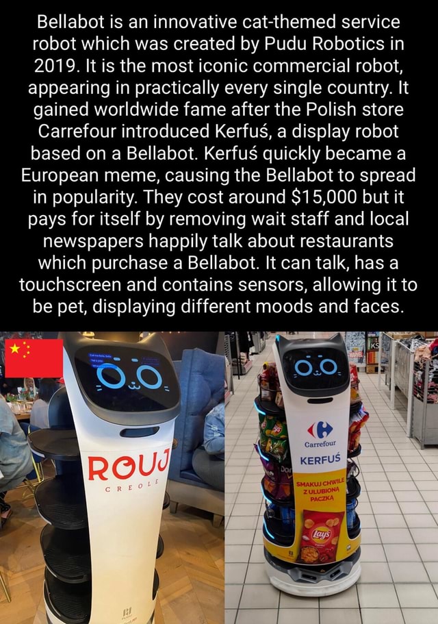 Bellabot is an innovative cat-themed service robot which was created by ...