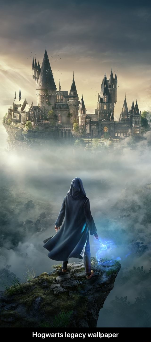 Hogwarts legacy wallpaper - Hogwarts legacy wallpaper - iFunny