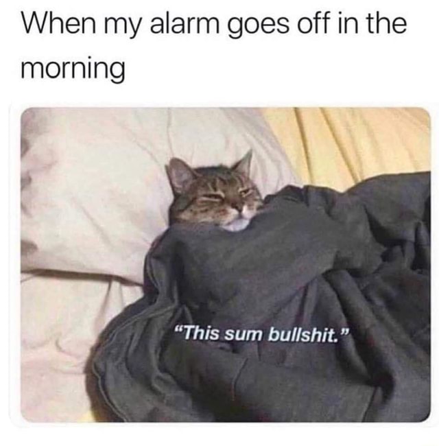 When My Alarm Goes Off In The Morning - Ifunny