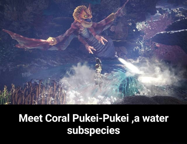 Meet Coral Pukei Pukei A Water Subspecies Meet Coral Pukei Pukei A   Af868c531c266d649292bf8278de980182fb4b524f73032f278416e9585ab751 1 