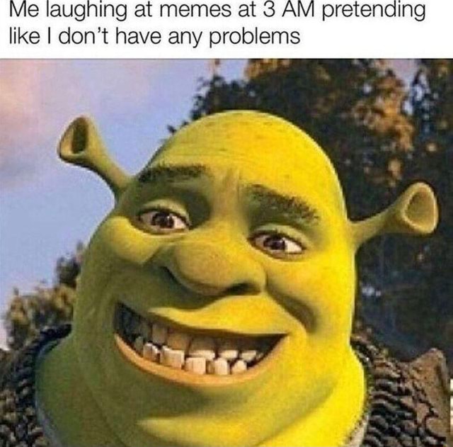 Me laughing at memes at 3 AM pretending like I don't have any problems ...