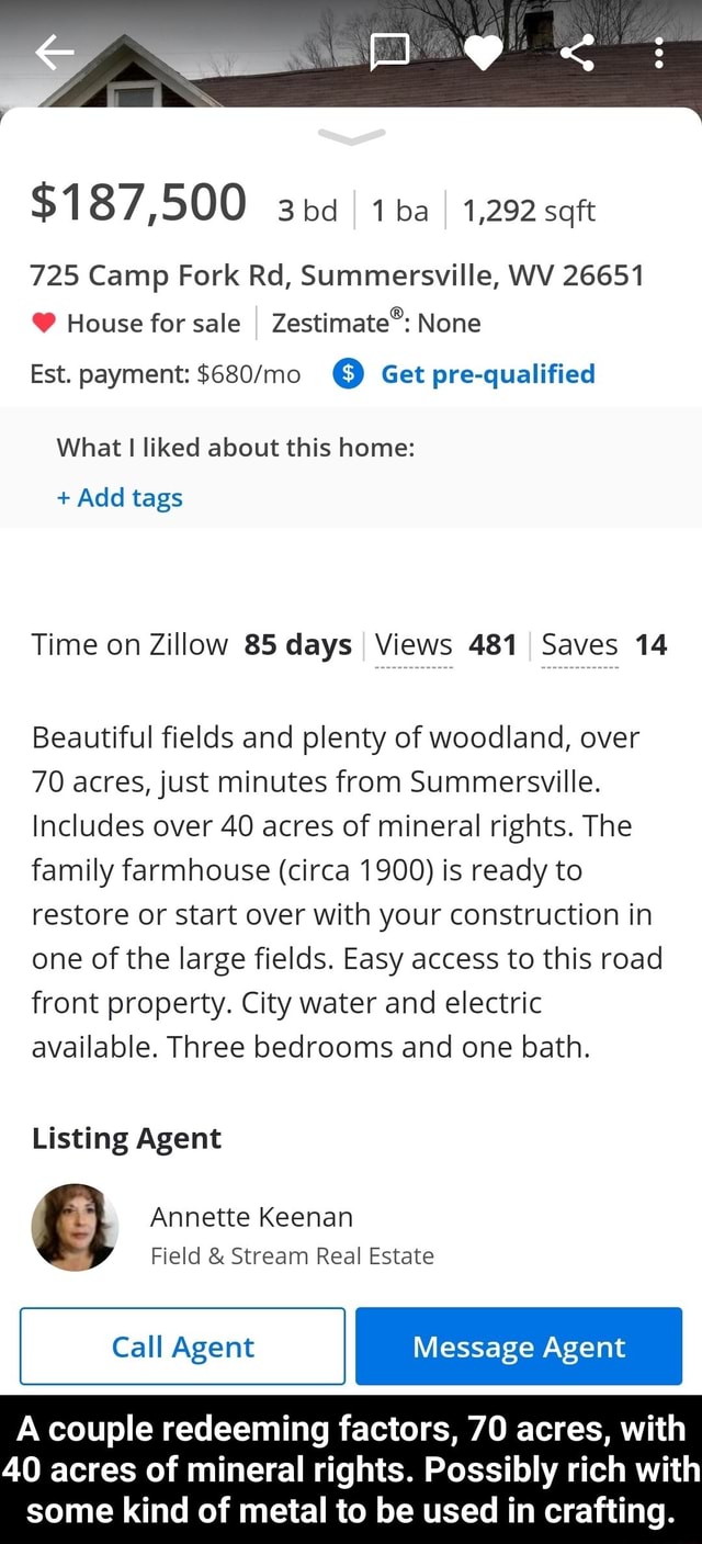 725 Camp Fork Rd, Summersville, WV 26651 ® House forsale I Zestimate