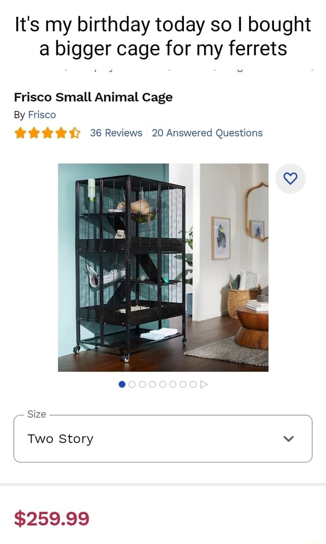 It's my birthday today so bought a bigger cage for my ferrets Frisco