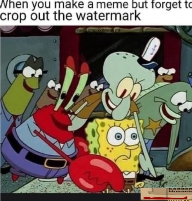 Vhen you make a meme but forget tc crop out the watermark - iFunny