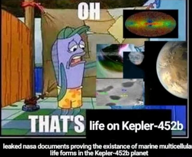 Life on I existance of marine multicellula life forms in the Kepler ...