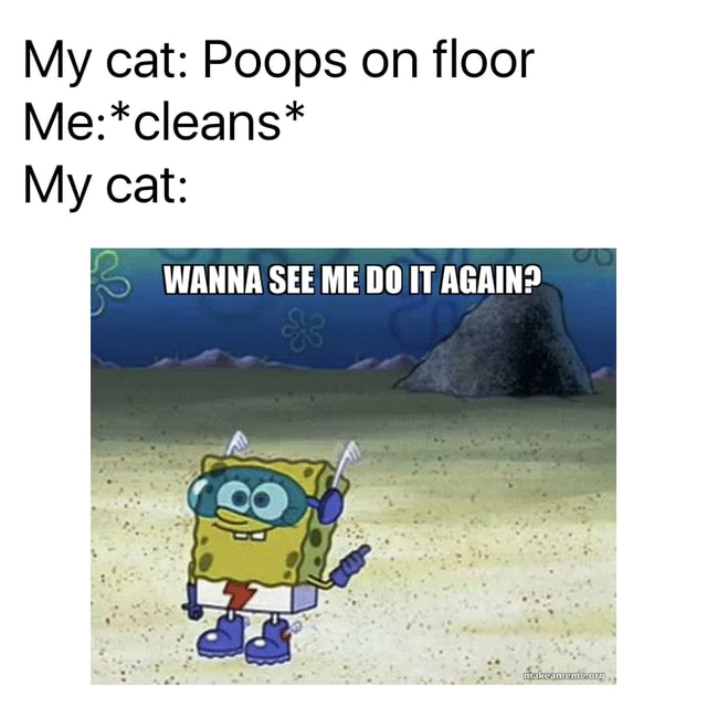 My cat Poops on floor Me*cleans* My cat 5 WANNA SEE ME DO IT AGAIN