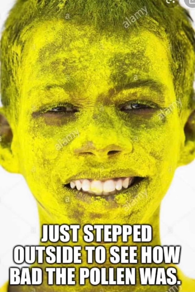 JUST STEPPED OUTSIDE TO SEE HOW BAD THE POLLEN WAS. iFunny