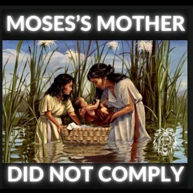 MOSES'S MOTHER DID NOT COMPLY iFunny