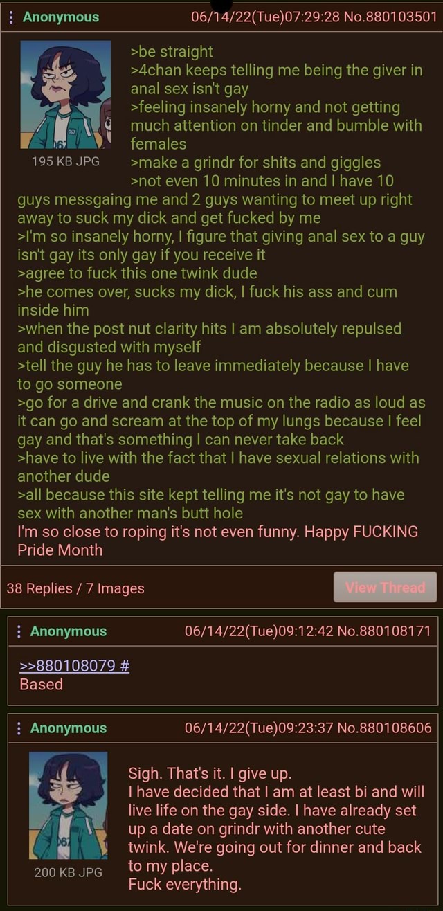 4chan gay pov meme