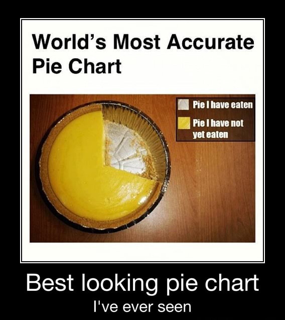 World's Most Accurate Pie Chart Best looking pie chart I've ever seen ...